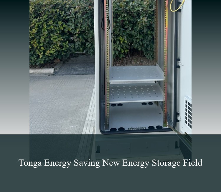 Tonga Energy Saving New Energy Storage Field