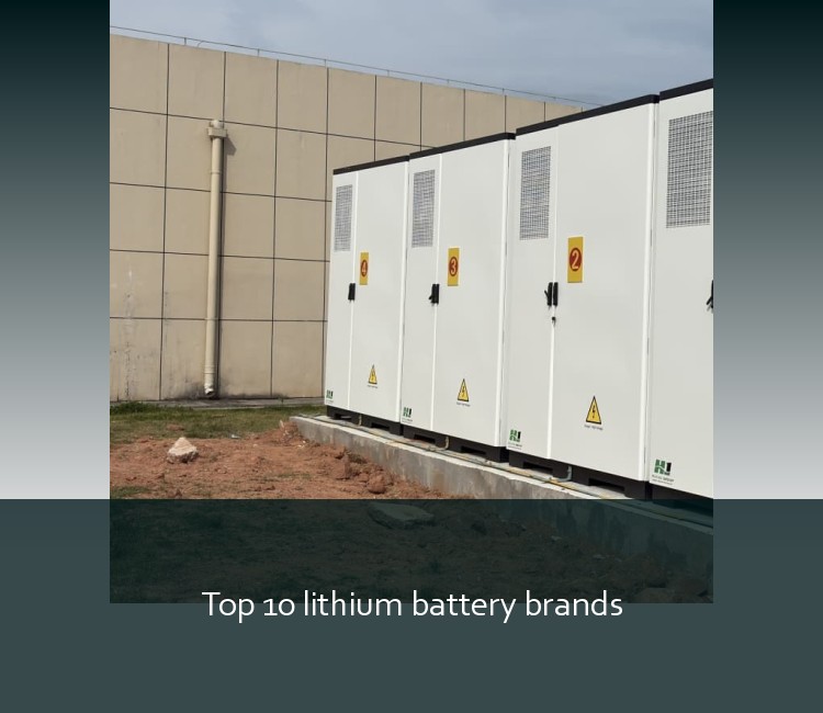 Top 10 lithium battery brands