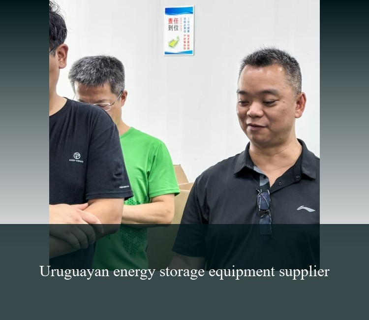 Uruguayan energy storage equipment supplier