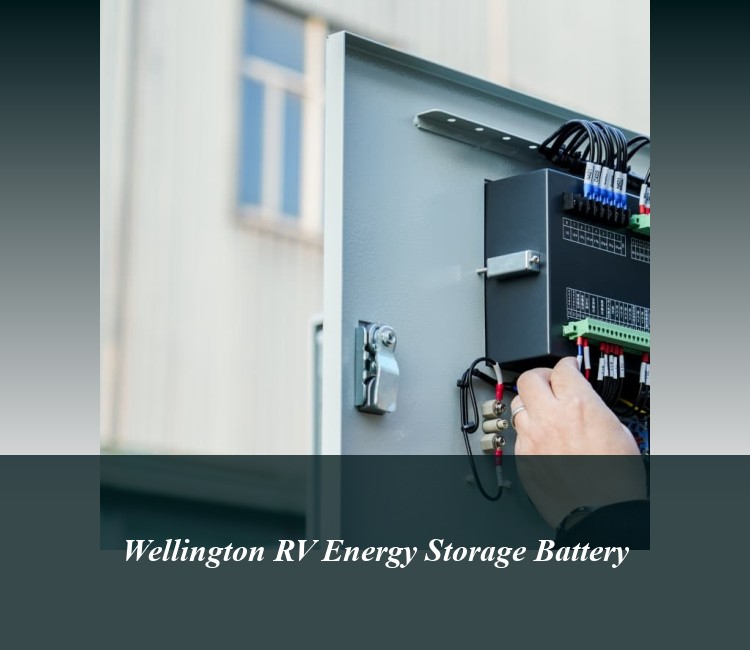Wellington RV Energy Storage Battery