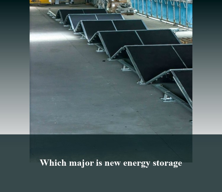 Which major is new energy storage