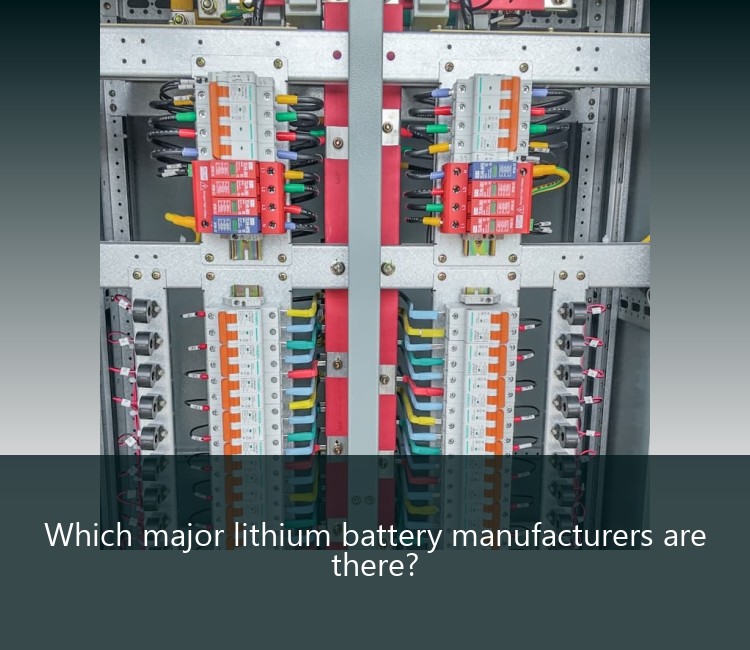 Which major lithium battery manufacturers are there?
