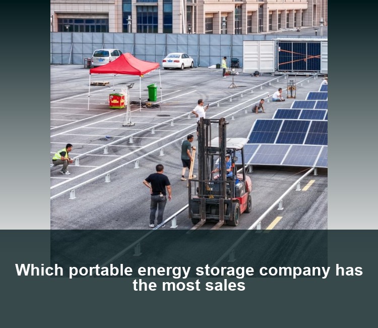 Which portable energy storage company has the most sales