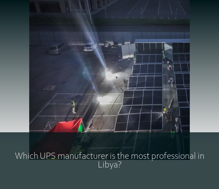 Which UPS manufacturer is the most professional in Libya?