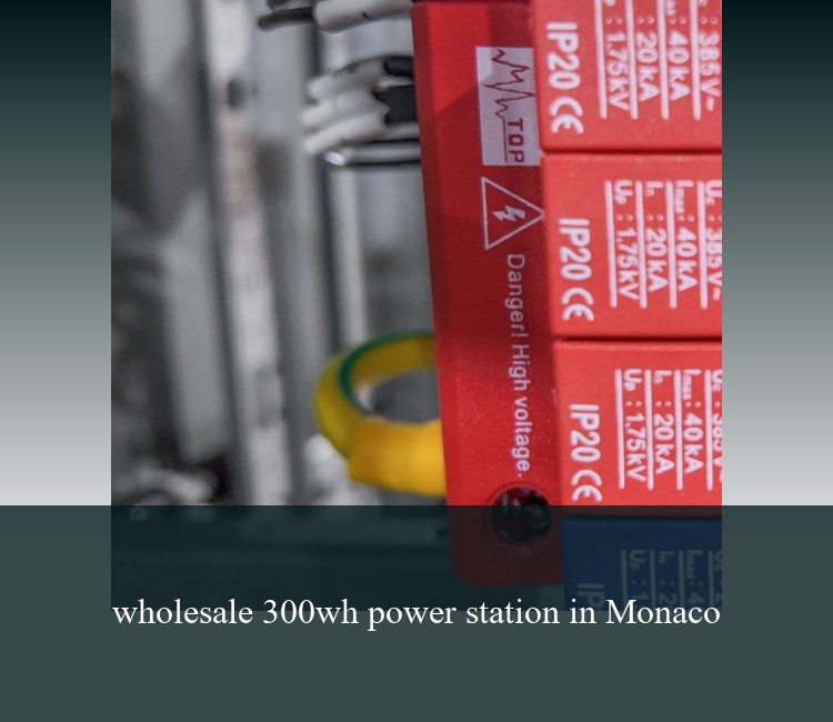 wholesale 300wh power station in Monaco