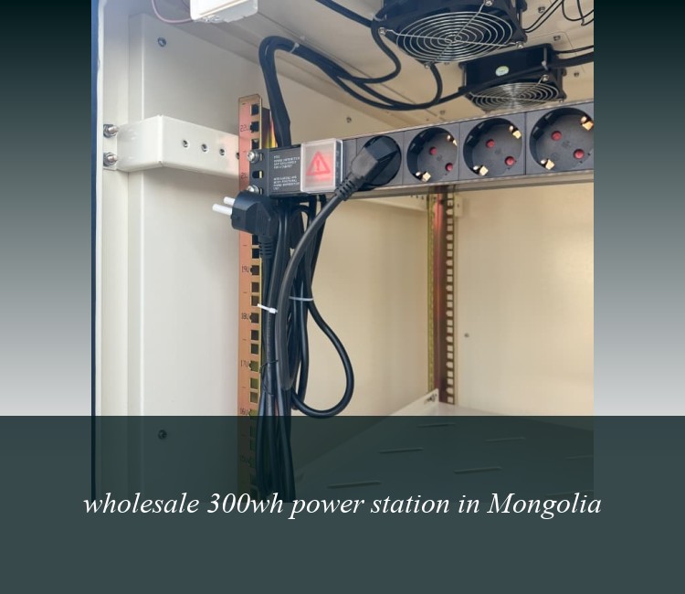 wholesale 300wh power station in Mongolia