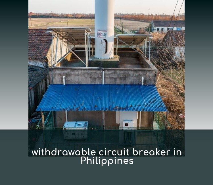 withdrawable circuit breaker in Philippines